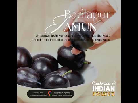 Badlapur Jamun