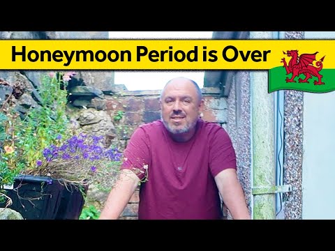 118. Will I Return to London? - Living Alone in Wales (August 2024)