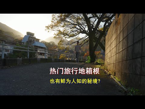 听说日本旅行热门地点的箱根有一处秘境，好奇心驱使我去一探究竟