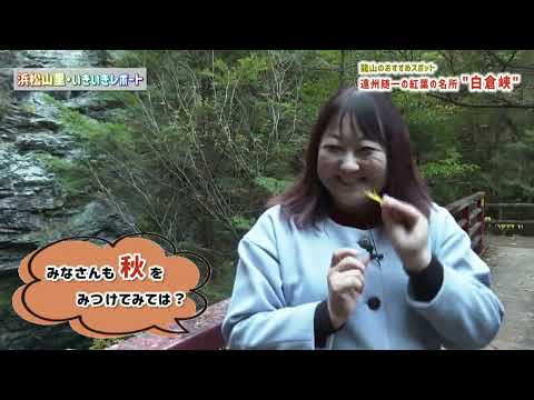 【浜松山里・いきいきレポート】龍山・白倉峡＆不動の滝