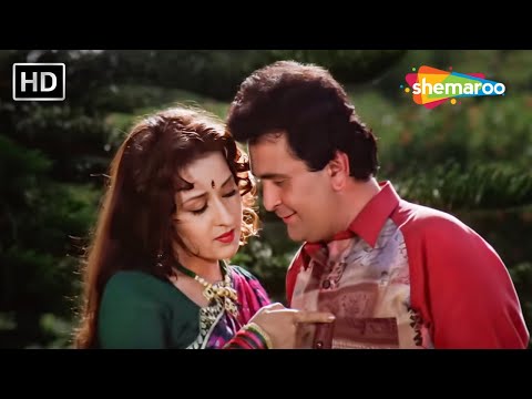 मैं एक सवाल पूछु तुमसे | Mai Ek Sawal Puchhu | Mohabbat Ki Arzoo(1994) | Rishi Kapoor, Zeba Bakhtiar