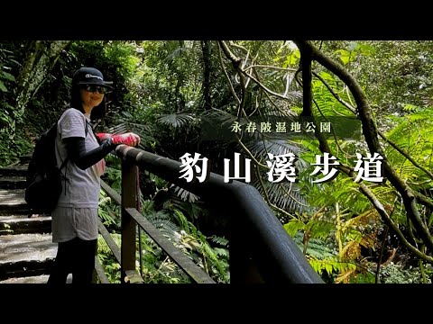 台北信義區推薦步道｜永春陂濕地公園｜豹山溪步道｜虎山美的社區步道｜cakethree三個蛋糕