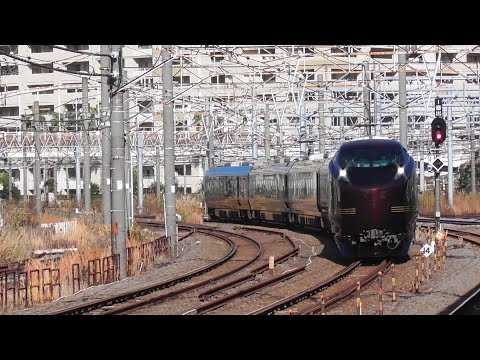 【団体列車】E655系なごみ「東京駅開業110周年記念号」　2024.12.21　大船駅