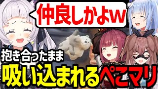 【マシぺこ】可愛い動物で殴り合うパーティアニマルズが面白すぎたｗ【紫咲シオン/戌神ころね/兎田ぺこら/宝鐘マリン/ホロライブ切り抜き/PartyAnimals】