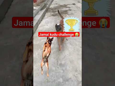 Jamal kudu challenge with family 🤣#shorts#trending #viral #youtubeshorts #ytshorts #comedy #funny