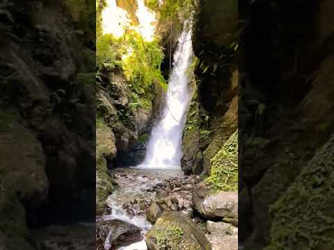 beautiful nature                                bangoru waterfall😍in bir billing