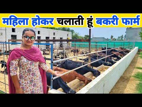 महिला होकर चलाती हूं इतना बड़ा Goat farm | Successful goat farmer in india