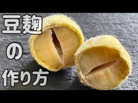 【豆麹の作り方】家にある道具で簡単にできる！