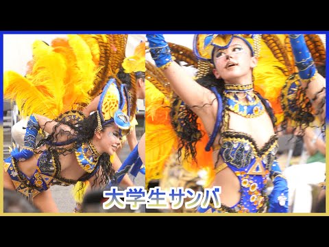 4K 大学生 浅草サンバカーニバル 2024 S1-⑤ ウニアン・ドス・アマドーリス Asakusa Samba Japan 追いかけバージョン