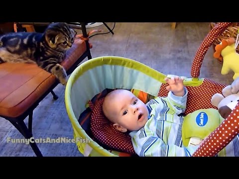 Baby Meets Cute Kitten