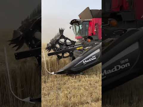 Massey Ferguson 9545 in Saskatchewan Durum