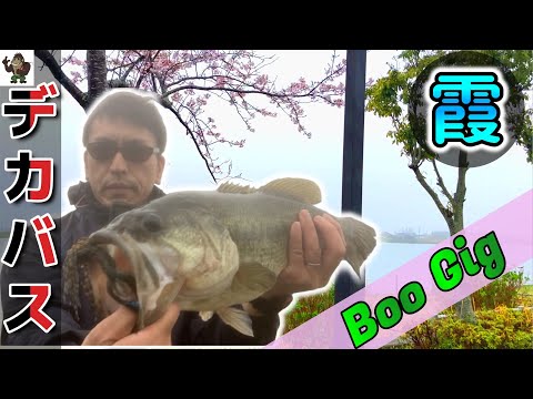 【バス釣り】【霞ヶ浦】これを試したら春のデカバスがやって来た