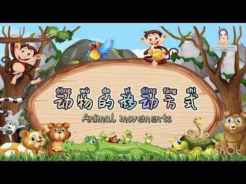 动物的移动方式 Animals Movement｜科学｜学前教育