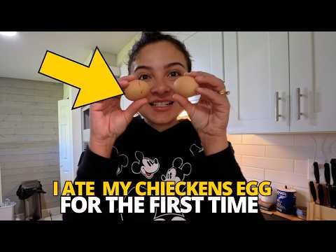 WE ATE OUR CHICKEN'S EGG FOR THE FIRST TIME