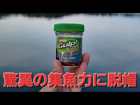 形状がヤバっ。アジングポイントを探しながらこの丸くて怪しい物体を投げてみました。すると...