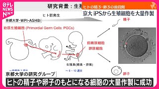 【京都大学】ヒトiPSから始原生殖細胞の大量作製に成功