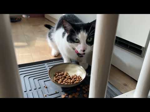 Precious boi shares lunch and chases girlfriend