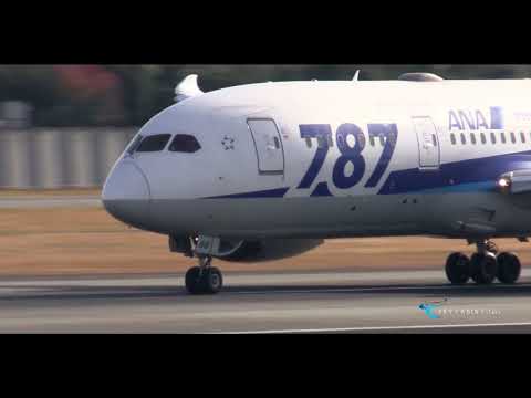 【伊丹空港 飛行機動画】All Nippon Airways(ANA) Boeing787-8 Dreamliner JA818A