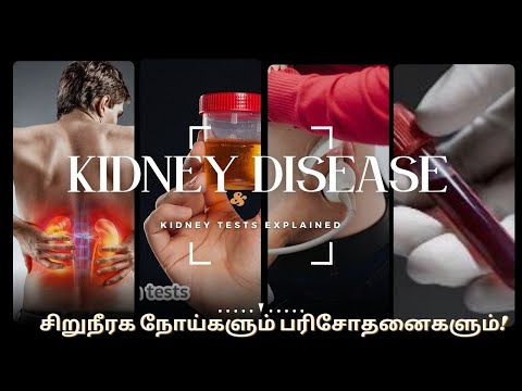 kidney pain location on body in tamil | kidney failure symptoms in tamil | kidney failure tamil