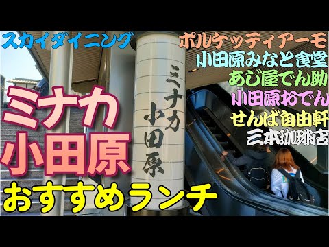 【小田原グルメ】ミナカ小田原おすすめランチ。小田原みなと食堂、あじ屋でん助、小田原おでん本店、三本珈琲店、せんば自由軒キッチン、ポルケッティアーモ、スカイダイニング