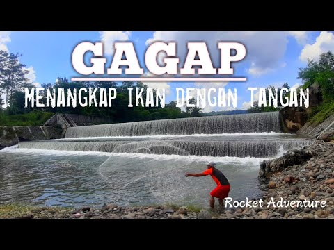 Menangkap ikan dengan tangan (GAGAP).