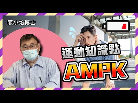 AMPK | 顧小培博士分享為什麼運動會好處多多