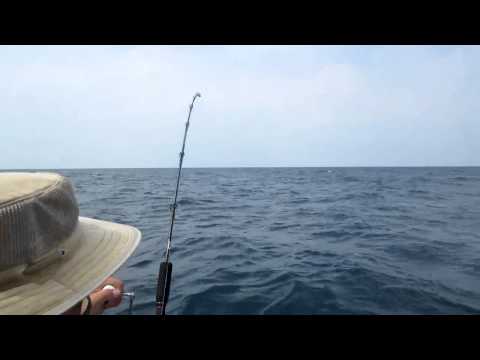 JM 3Kings Rod & PE3 reel Against Sailfish