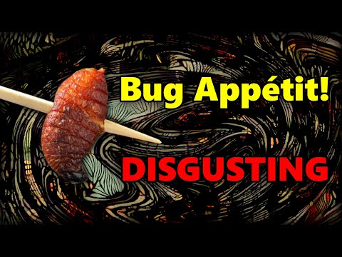 Actually Eat the Bugs, Unironically