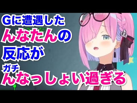 【悪用禁止】Gに遭遇したルーナの反応が本気でんなっしょい過ぎるのでそれだけまとめた【姫森ルーナ/ホロライブ切り抜き】