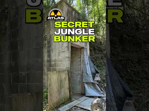 Secret Jungle Bunker!