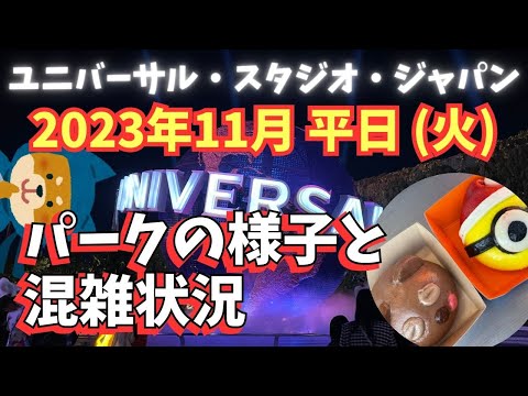 【2023年11月】USJ平日は空いてる⁉︎ 予想を裏切る混雑ぶり。マリオエリアは整理券必須！