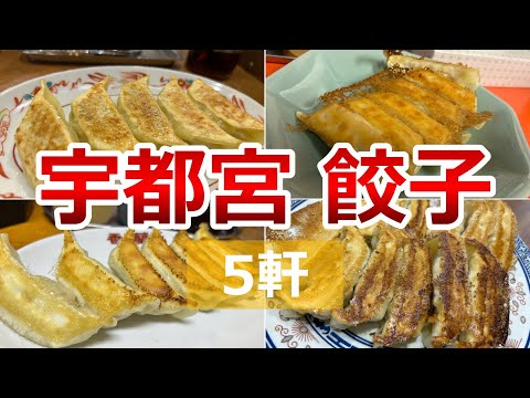 【宇都宮グルメ】美味しい餃子をめぐり5店舗を食べ歩きました