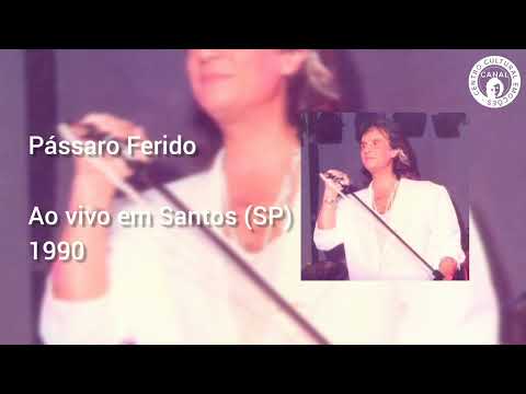 Pássaro Ferido - Roberto Carlos - Ao Vivo em Santos - 1990