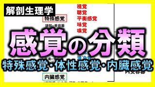 【解剖生理学（感覚器系）】感覚の分類