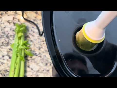 Review: Omega J8006HDC Cold Press Slow Juicer, Chrome