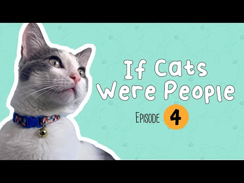 Episode 4: If People Were Cats