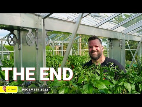 Final Chilli Growing Episode (2022e10)