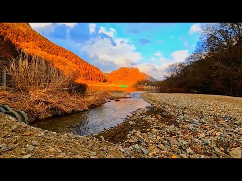 【3h】Relaxing River Sounds in the Beautiful Mountains of Japan | Peaceful Nature Ambience