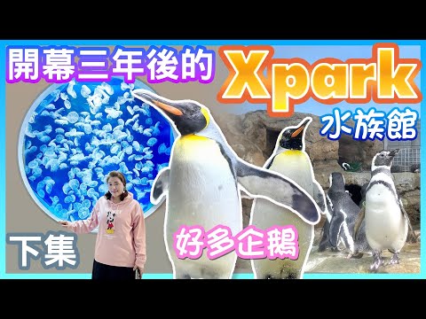 【桃園景點】開幕三年後的「Xpark 水族館」（下集）  Taoyuan Taiwan