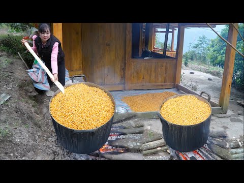 How I boil corn and ferment it to make wine the yeast is made by me from natural herbs