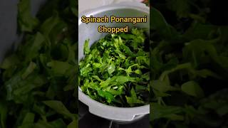 Ponangani keerai parupu kadaiyal#spinachcurry#dhalcurry#andhrarecipies#healthyfood#cooking#bachelor