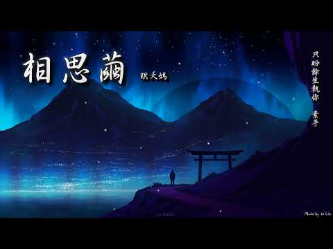 【古風入坑】琪大媽 - 相思繭「只盼餘生執你 素手。」[ High Quality Lyrics ][ Chinese Style ][ NCS ] tk推薦