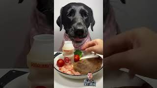 #dog #eatingshow #eating #labrador #eatingsounds #asmr #food