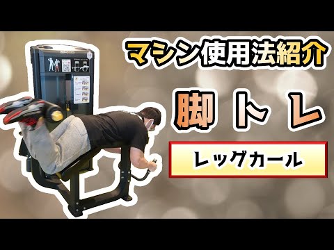 【マシン紹介】レッグカール【脚トレ・腿のうしろ】【佐野市田沼24Hジム：AEGYM】