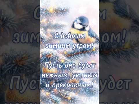 С добрым зимним утром, Друзья! (Мини-сборник)