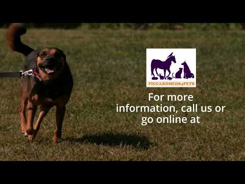 Piccardmeds4pets - The Best Pet Care Products Online