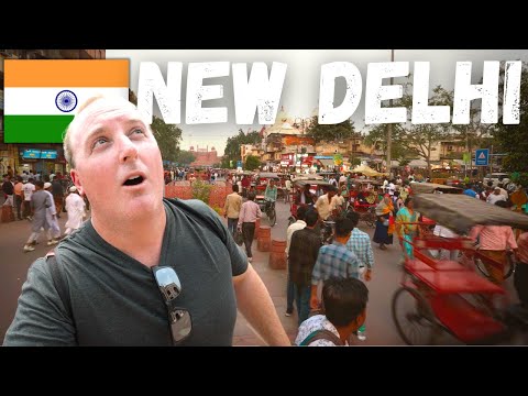 INSANE One Day in DELHI |  Chandni Chowk with a local