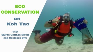 Eco Conservation on Koh Tao - This is What Happens When People Work Together