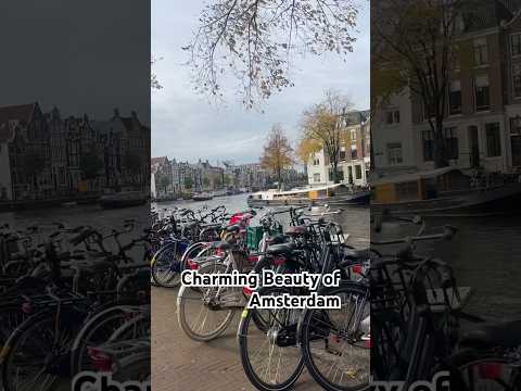 Amsterdam Netherlands #travel #travelvlog #traveling #trending #travelphotography #traveltheworld