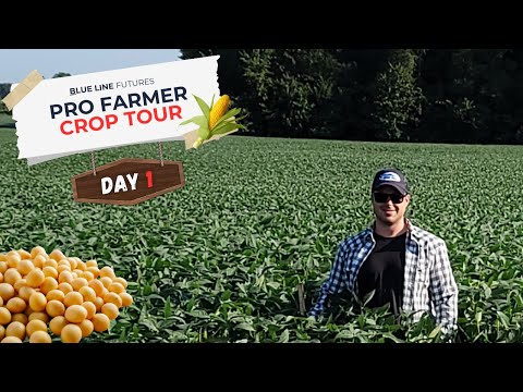 A recap of what we found on day 1 of the Pro Farmer Crop Tour